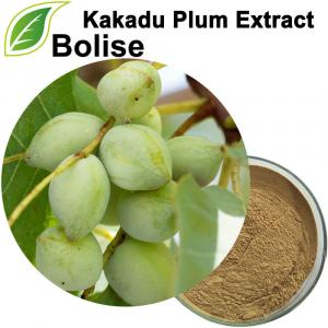 Kakadu Plum Extract Kakadu Plum Extract