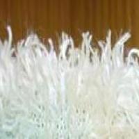 Algae Extract(Marine algae extract) Algae Extract(Marine algae extract)
