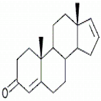 Androstadienone Androstadienone