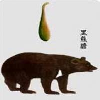 Bear Gall extract Bear Gall extract