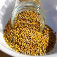 Bee pollen (Bee bread) Bee pollen (Bee bread)
