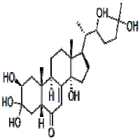 Beta-Ecdysterone (20-Hydroxyecdysone) Beta-Ecdysterone (20-Hydroxyecdysone)