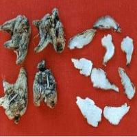 Bletilla striata extract(Rhizoma Bletillae Extract) Bletilla striata extract(Rhizoma Bletillae Extract)
