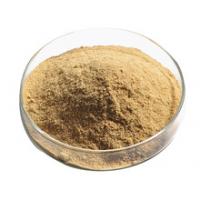 Brewer’s Yeast Powder Brewer’s Yeast Powder