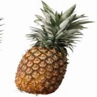Bromelain(Pineapple extract) Bromelain(Pineapple extract)