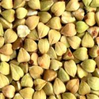 Buckwheat Extract(Beech wheat extract) Buckwheat Extract(Beech wheat extract)