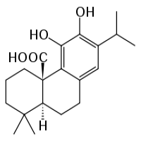 Carnosic Acid Carnosic Acid