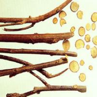 Cassia Twig Extract(Ramulus Cinnamomi Extract) Cassia Twig Extract(Ramulus Cinnamomi Extract)