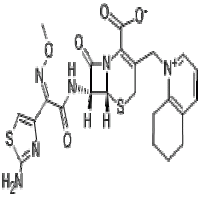 Cefquinome Cefquinome