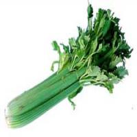 Celery Seed Extract Celery Seed Extract