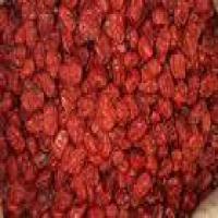 Chinese jujube haematochrome Chinese jujube haematochrome