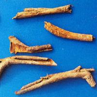 Chinese Wolfberry Root-bark Extract(Cortex Lycii extract) Chinese Wolfberry Root-bark Extract(Cortex Lycii extract)