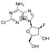 Clofarabine Clofarabine