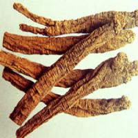Codonopsis Extract(Tangshen Extract ) Codonopsis Extract(Tangshen Extract )