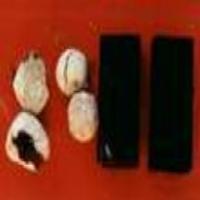 Colla Corii Asini(Donkey-hide Glue) Colla Corii Asini(Donkey-hide Glue)