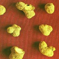 Decumbent Corydalis Rhizome Extract Decumbent Corydalis Rhizome Extract