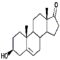 Dehydroepiandrosterone Dehydroepiandrosterone