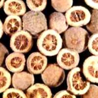 Diosmin (Citrus Aurantium extract) Diosmin (Citrus Aurantium extract)