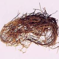 Dutchmanspipe Vine Extract(Herba Aristolochiae Extract) Dutchmanspipe Vine Extract(Herba Aristolochiae Extract)