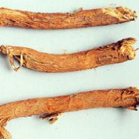 Ephedra Root Extract(Radix Ephedrae Extract) Ephedra Root Extract(Radix Ephedrae Extract)