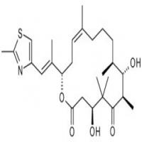 Epothilone D Epothilone D