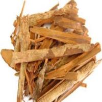 Erythroxylum Catuaba Bark Extract Erythroxylum Catuaba Bark Extract