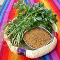 Fenugreek seed extract Fenugreek seed extract