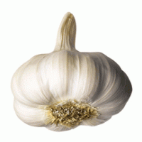 Garlic extract Garlic extract