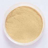 Ginseng fruit extract Ginseng fruit extract