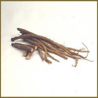 Great Burdock Achene Extract(Burdock Root Extract) Great Burdock Achene Extract(Burdock Root Extract)