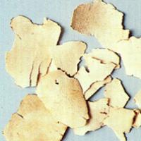 Hypoglaucous Collett Yam Rhizome Extract Hypoglaucous Collett Yam Rhizome Extract