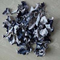 Jew's ear extract(Auricularia auricula Extract) Jew's ear extract(Auricularia auricula Extract)