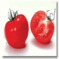 Lycopene Lycopene