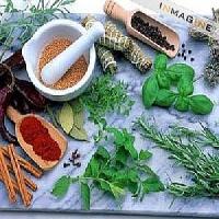 Natural Anti-Diabetes Formula Natural Anti-Diabetes Formula