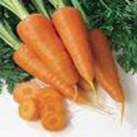 Natural Carotenes Natural Carotenes