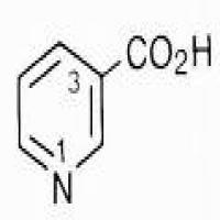 Niacin(vitamin pp) Niacin(vitamin pp)