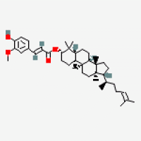 Oryzanol Oryzanol