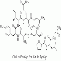 Oxytocin Oxytocin