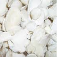 Paeoniflorin Extract Paeoniflorin Extract