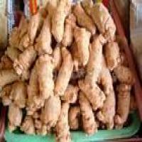 Panax Notoginseng Saponins(PNS) Panax Notoginseng Saponins(PNS)