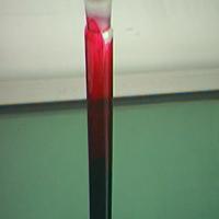 Perilla Red Perilla Red