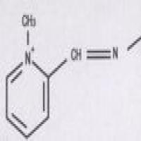 Pralidoxime Iodide Pralidoxime Iodide