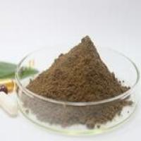 Ptychopetalum Olacoides Bark Extract Ptychopetalum Olacoides Bark Extract