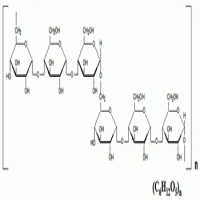Pullulan polysaccharide Pullulan polysaccharide