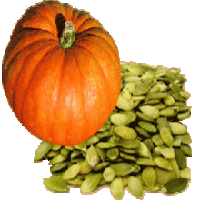 Pumpkin Seed Extract(Pepitas extract) Pumpkin Seed Extract(Pepitas extract)
