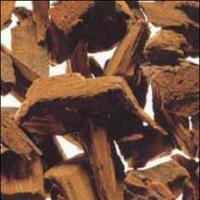 Pygeum bark extract Pygeum bark extract