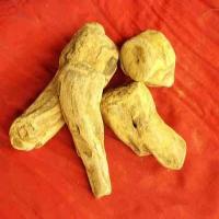 Rhubarb Extract(Radix et Rhizoma Rhei extract) Rhubarb Extract(Radix et Rhizoma Rhei extract)
