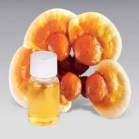 Reishi spore oil Reishi spore oil