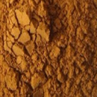 Rhodiola Rosea Extract Rhodiola Rosea Extract