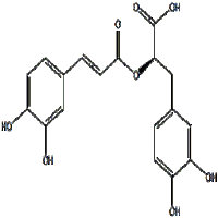 Rosmarinic acid Rosmarinic acid